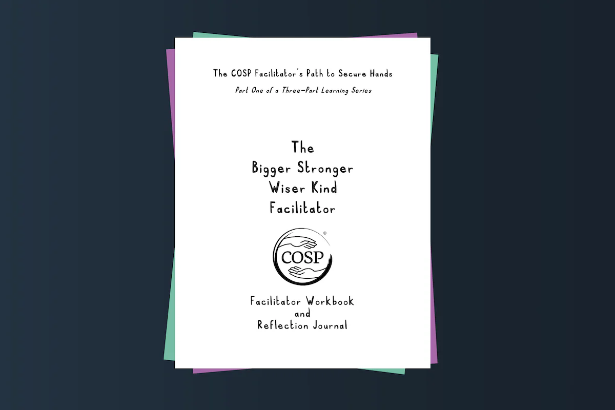 The Bigger Stronger Wiser Kind Facilitator - Image 4